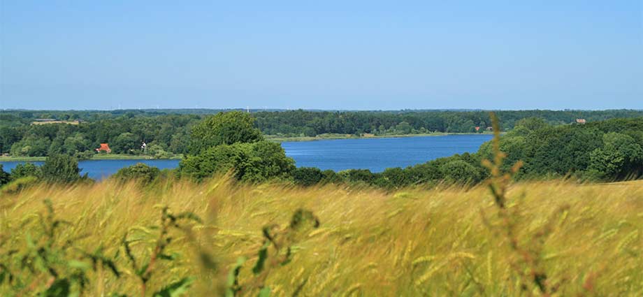 Blick auf den Westensee vom Tüteberg