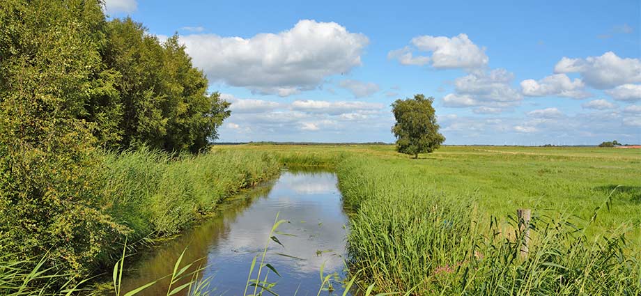 Naturlandschaft bei Burg